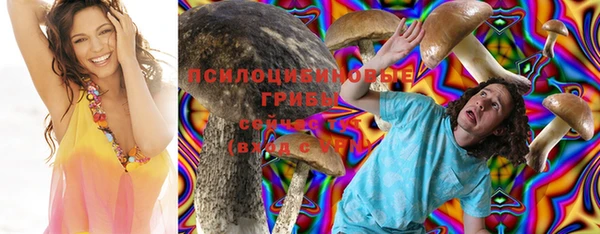 сатива Балабаново