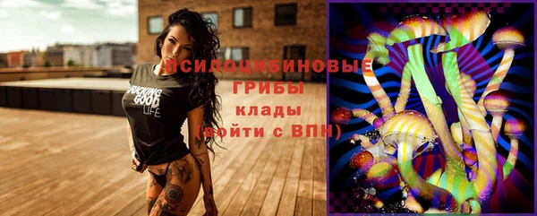 ГАЛЛЮЦИНОГЕННЫЕ ГРИБЫ Зерноград