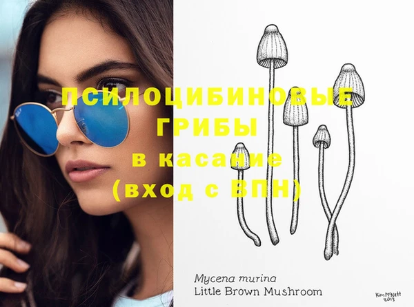 сатива Балабаново