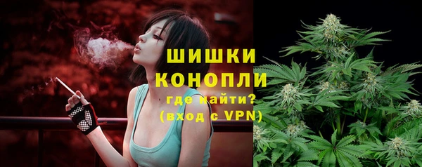 сатива Балабаново